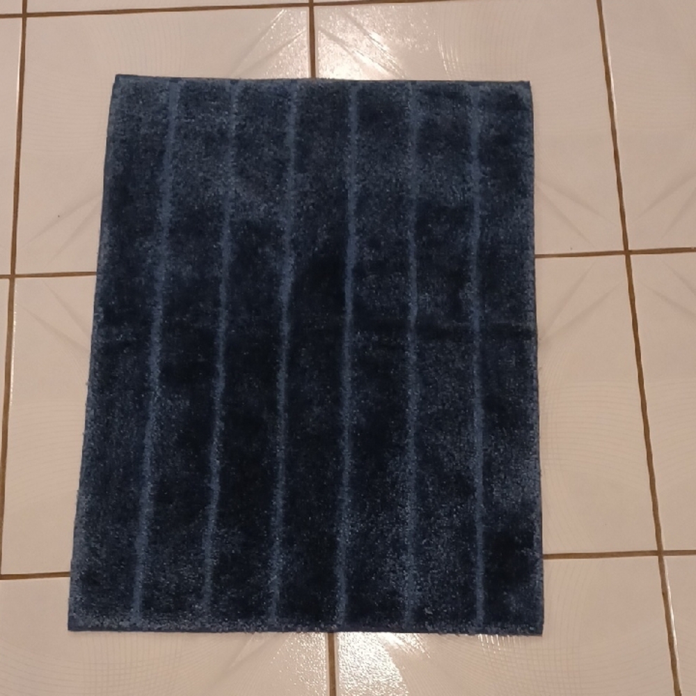 4/$30 Plush Blue Area Rug
